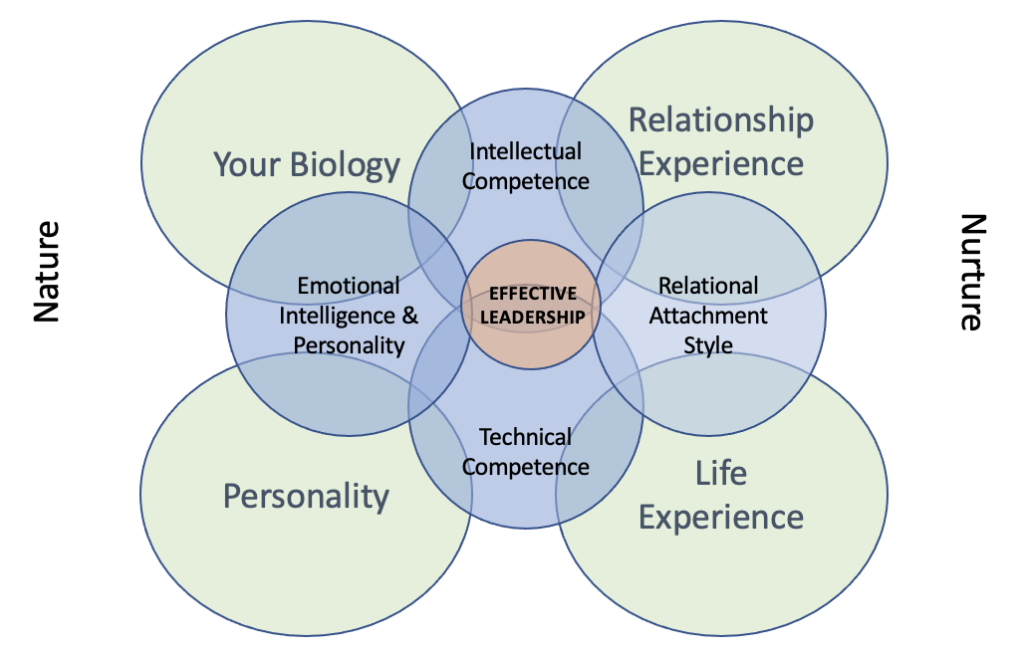 Relational Leadership – Leadership Beach